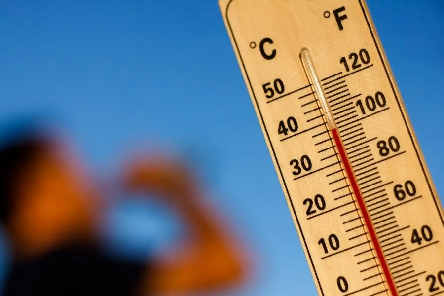 summer heat where our neighbors go